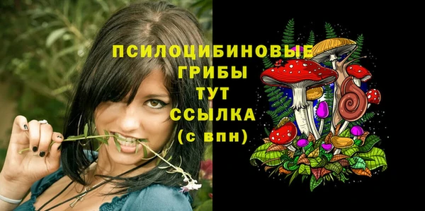 ГАЛЛЮЦИНОГЕННЫЕ ГРИБЫ Нефтекумск